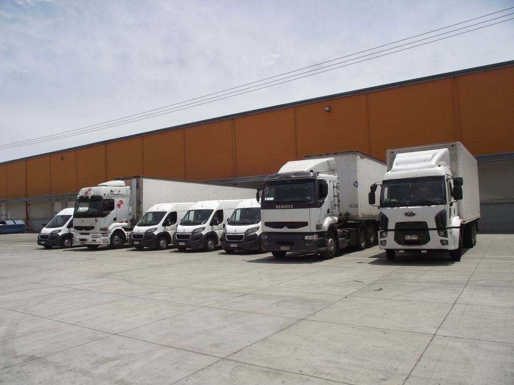 Flota MVargas 8