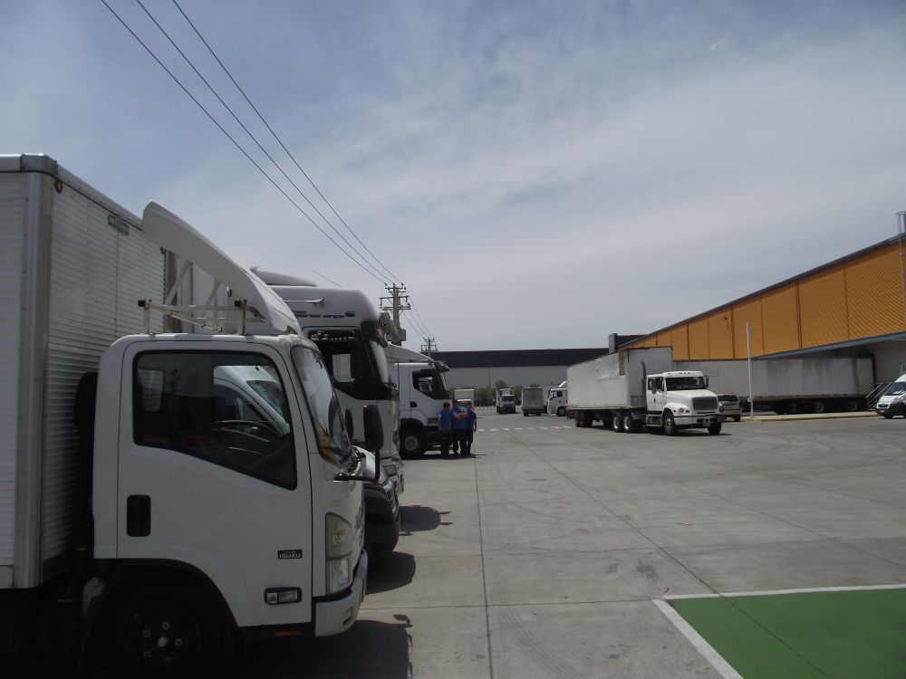 Flota MVargas 25
